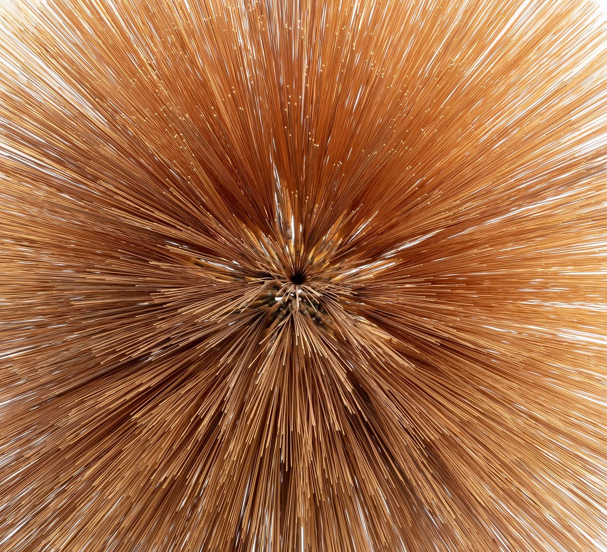 Of The Near And Far by Patricia Brennan (www.cejamoran.com)