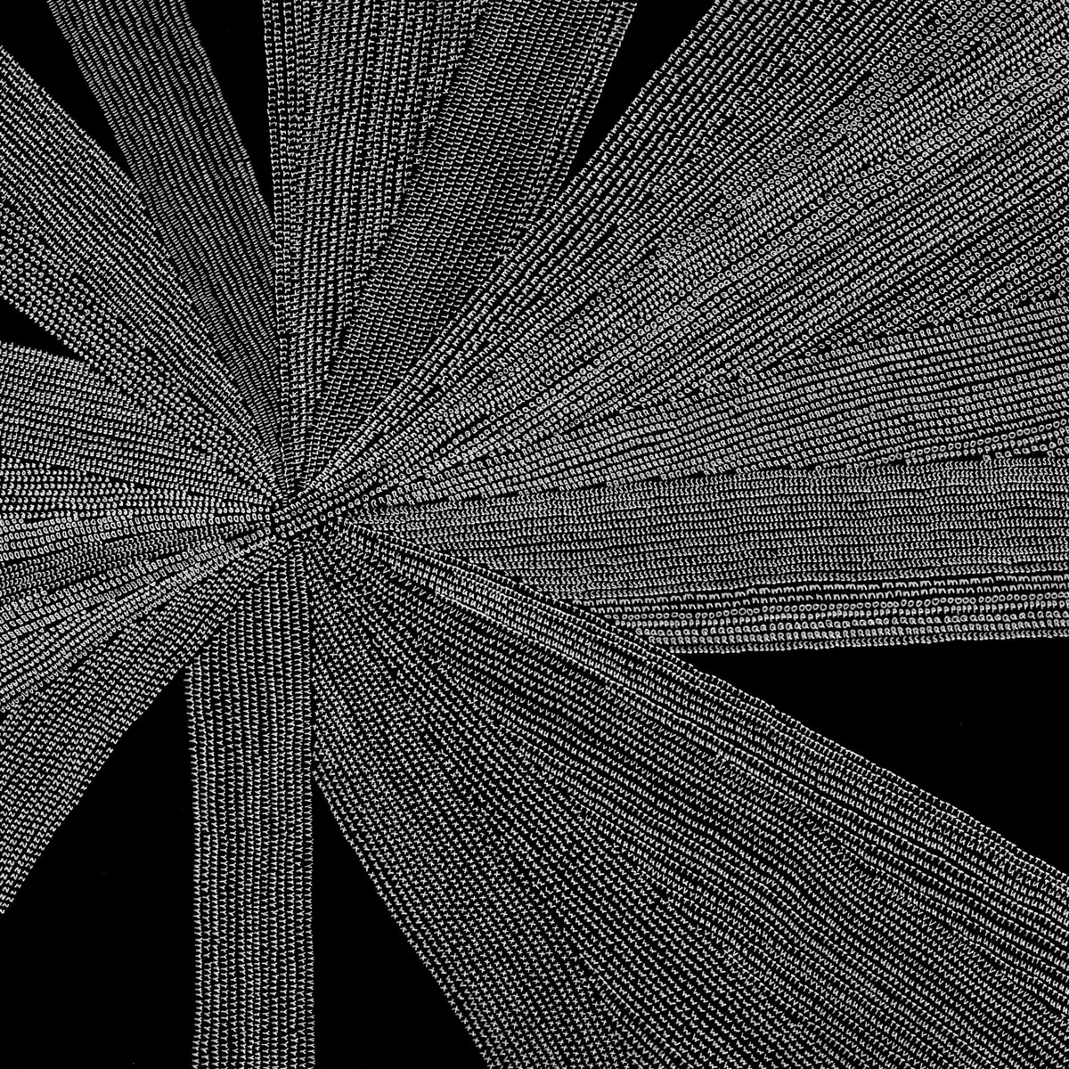 Solace of the Mind – Amina Claudine Myers