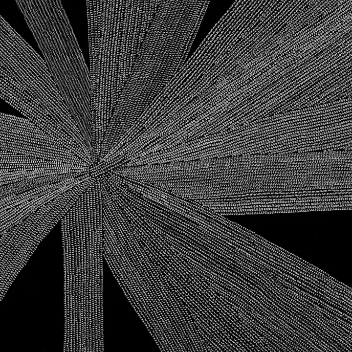 Solace of the Mind – Amina Claudine Myers